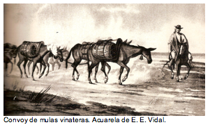 Text Box:   Convoy de mulas vinateras. Acuarela de E. E. Vidal. 